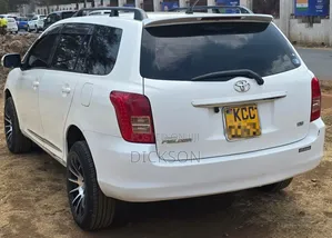 Toyota Corolla Fielder 2008 White