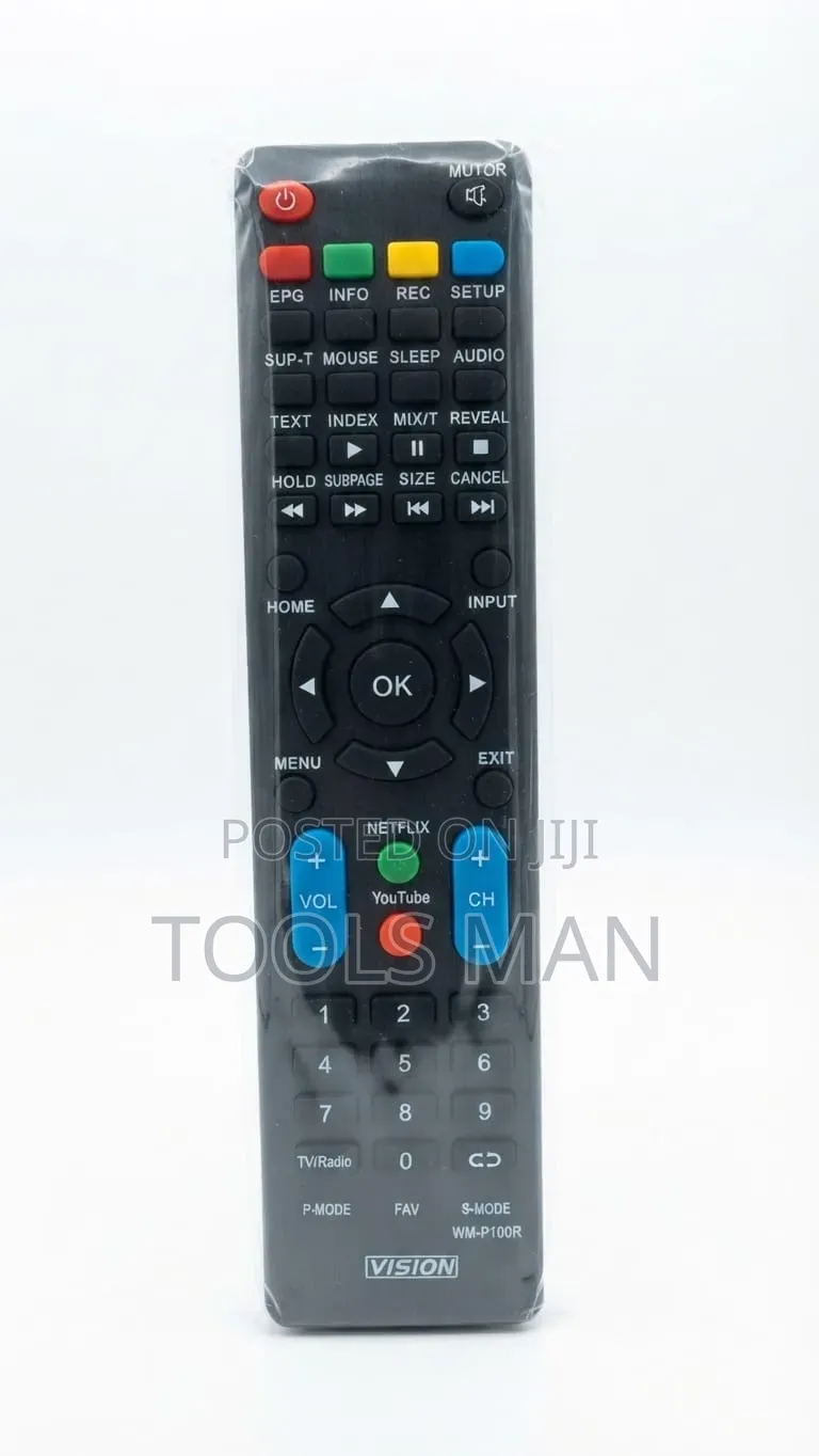 Vision WM-P100R TV Remote Control.