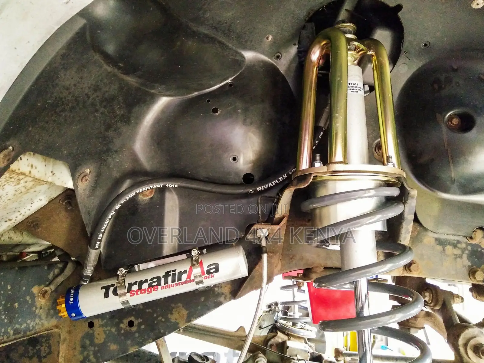 Terrafirma Shock Turrets - Tubular STD Height - Front Pair