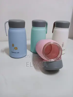 Glass Vacuum Flask With Handle