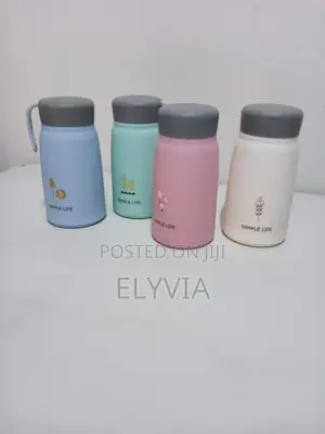 Glass Vacuum Flask With Handle