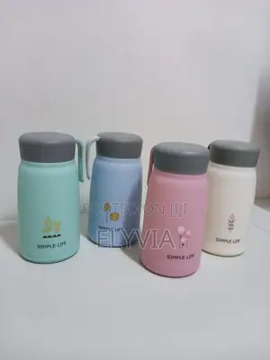 Glass Vacuum Flask With Handle