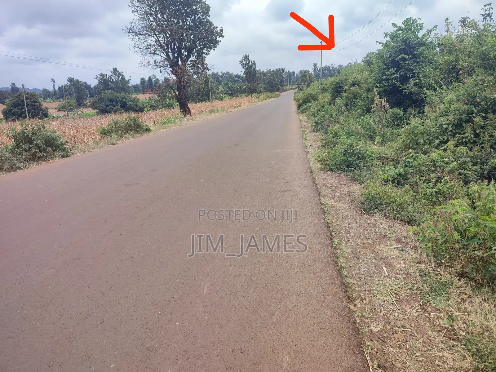 Half Acre (0.5) Kirinyaga/Kiandai