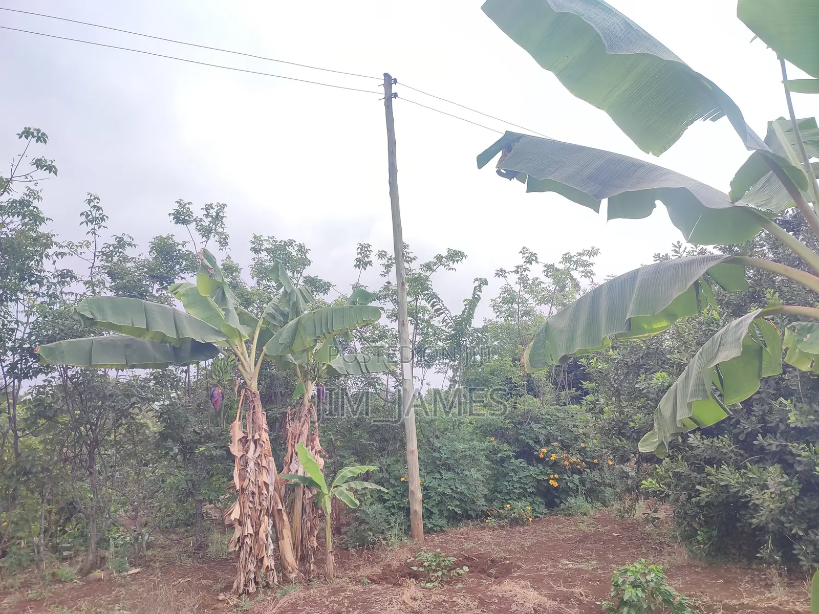 Half Acre (0.5) Kirinyaga/Kiandai
