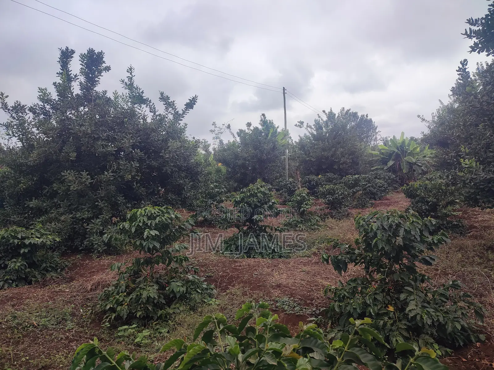 Half Acre (0.5) Kirinyaga/Kiandai