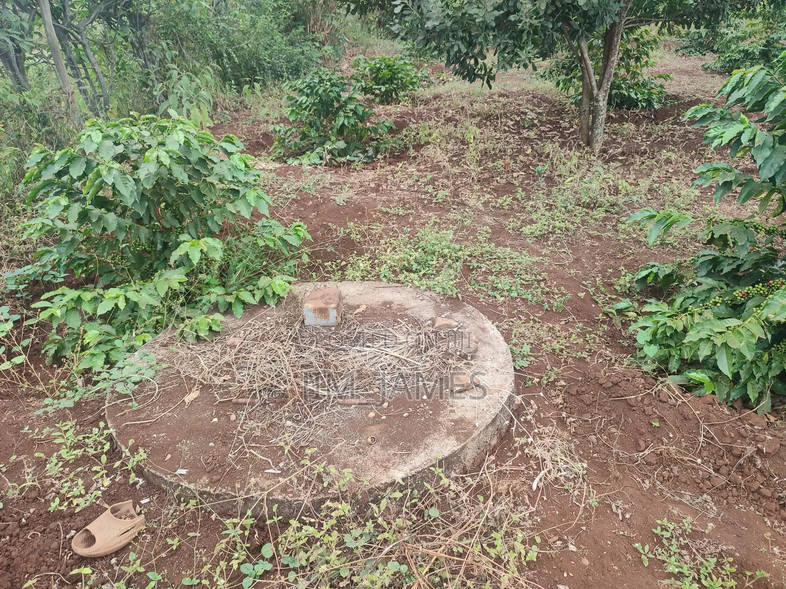 Half Acre (0.5) Kirinyaga/Kiandai