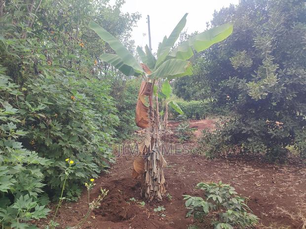 Half Acre (0.5) Kirinyaga/Kiandai - thumbnail 7