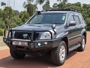 Toyota Land Cruiser Prado 2006 Gray