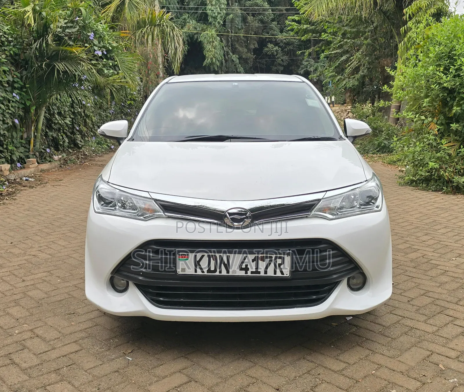 Toyota Axio 2015 White