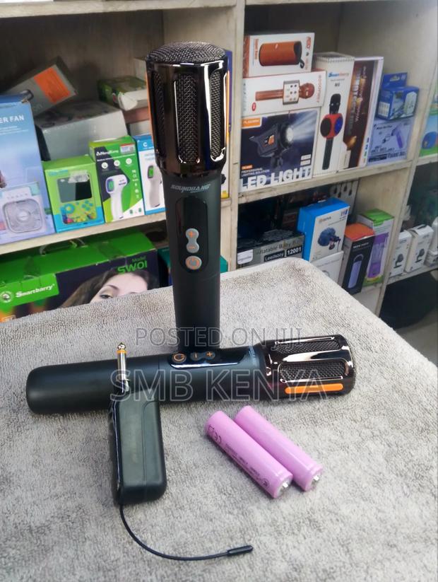 Dual Wireless Microphone - thumbnail 2