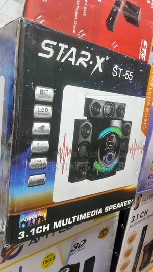 The Star 'X St_55 Echo Wall Speaker