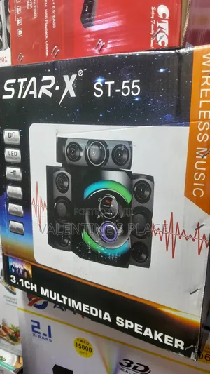 The Star 'X St_55 Echo Wall Speaker