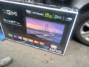 Xgimi 43 Inch TV
