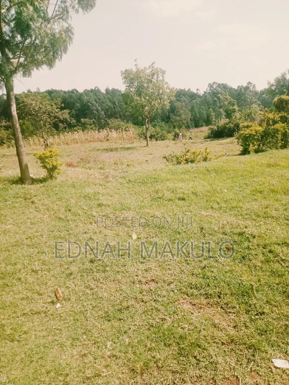 Plot for Sale in Migori County Kehancha