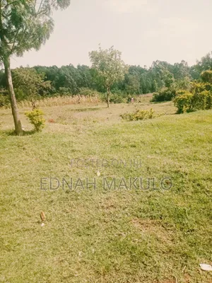 Plot for Sale in Migori County Kehancha