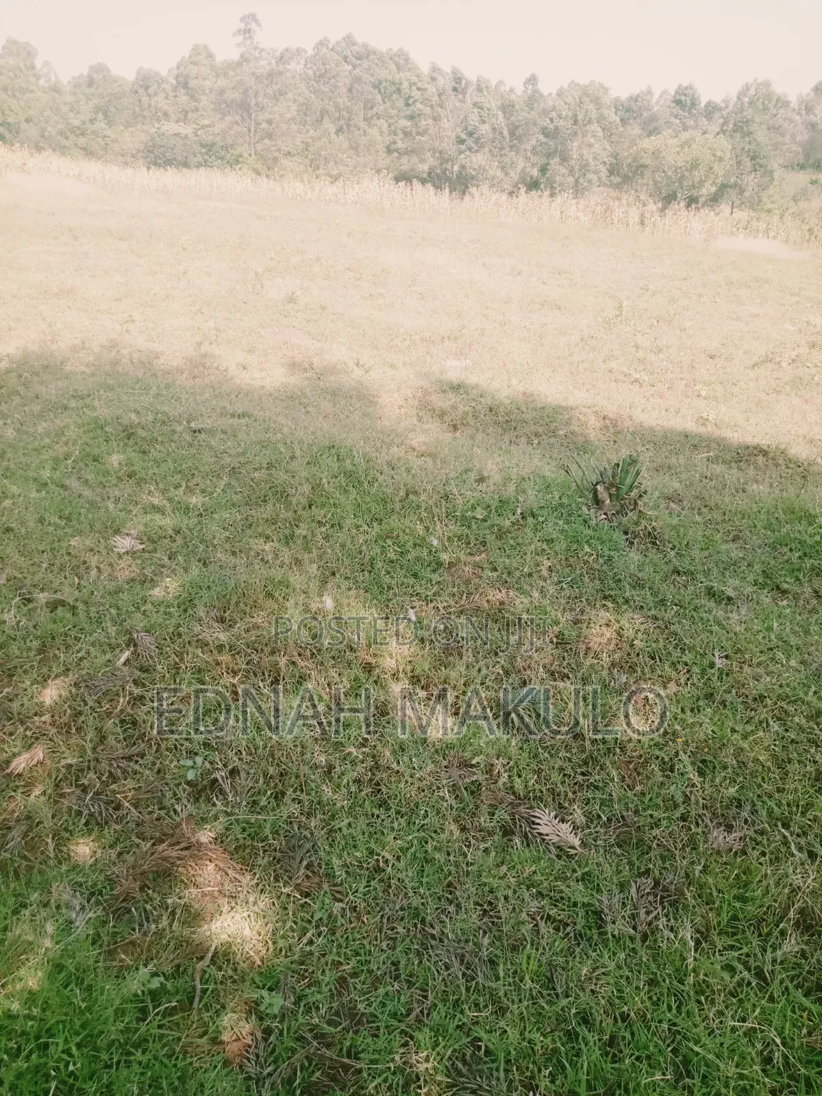 Plot for Sale in Migori County Kehancha