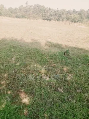 Plot for Sale in Migori County Kehancha