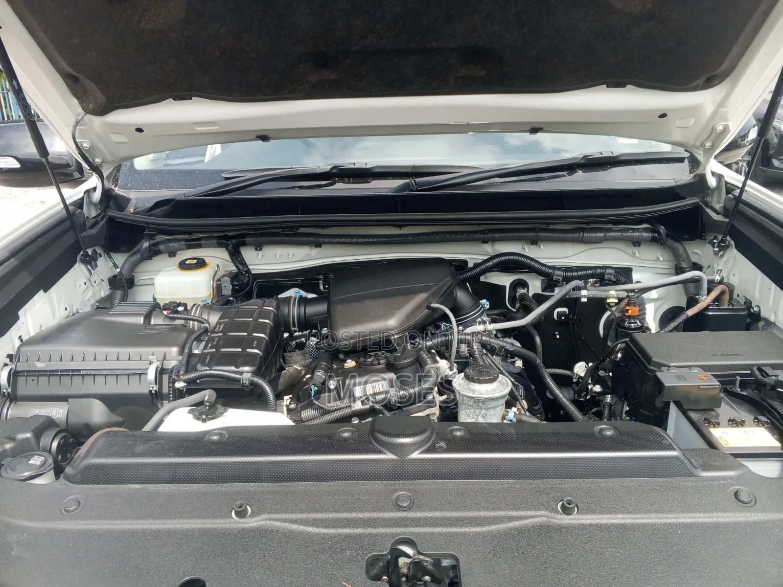 Toyota Land Cruiser Prado 2021 White