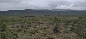 Land for Sell in Gilgil Nakuru County