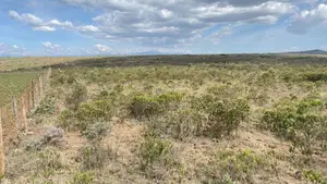 Land for Sell in Gilgil Nakuru County