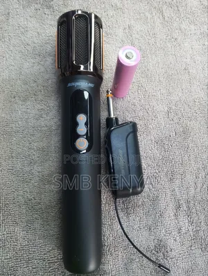 Single Wireless Microphone With Receiver