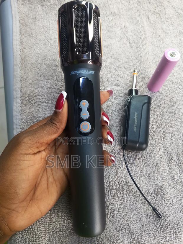 Professional Wireless Microphone With Receiver - thumbnail 2