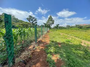 Land for Sale in Nyeri Behind Outspan Hotel