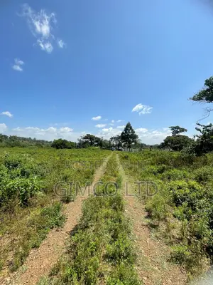 Land for Sale in Nyeri Behind Outspan Hotel
