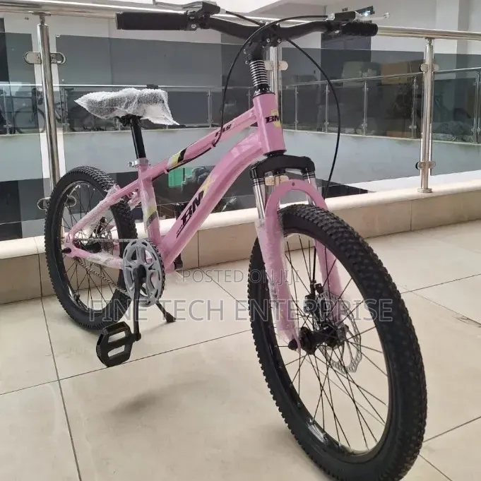 Pink BMX 20 Bike