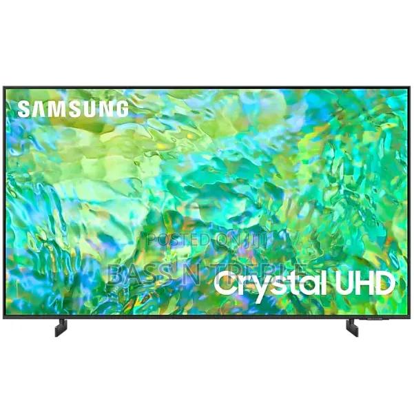 Samsung 65" TV - main view
