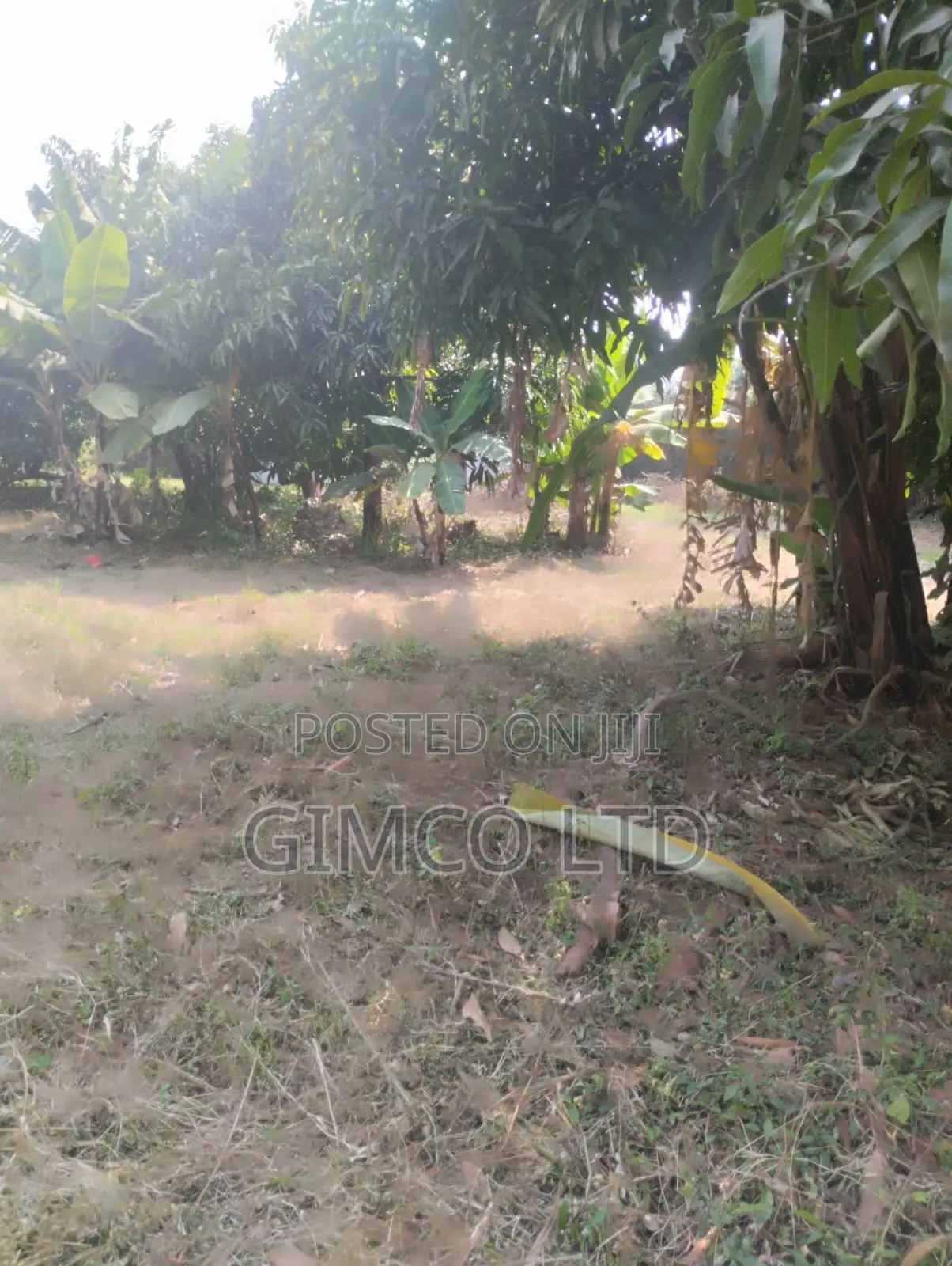 Prime 3/4acre Plot for Sale in Thome 5 Estate
