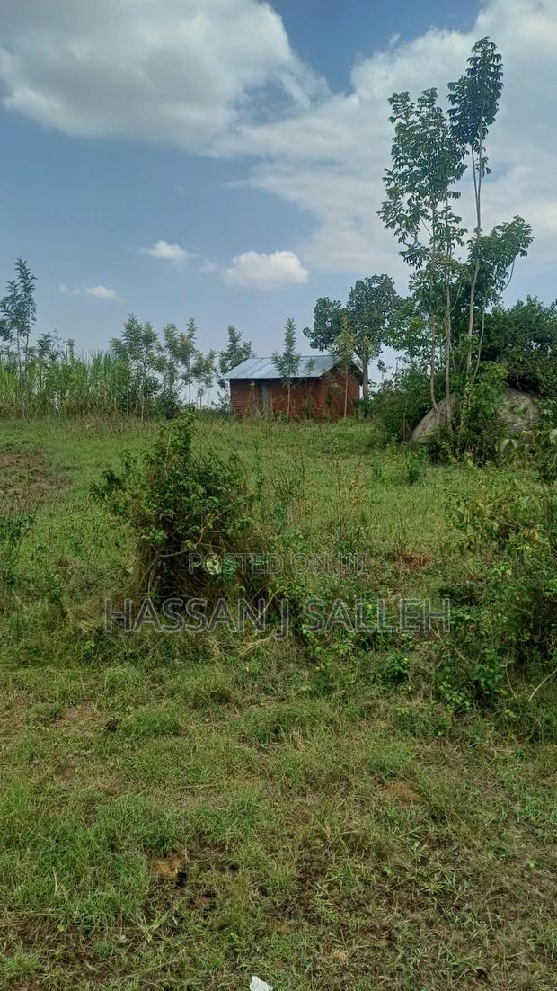 2acres Marama Butere - thumbnail 2