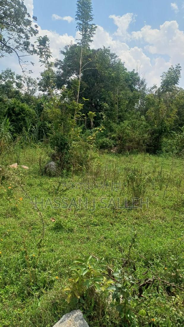 2acres Marama Butere - thumbnail 4