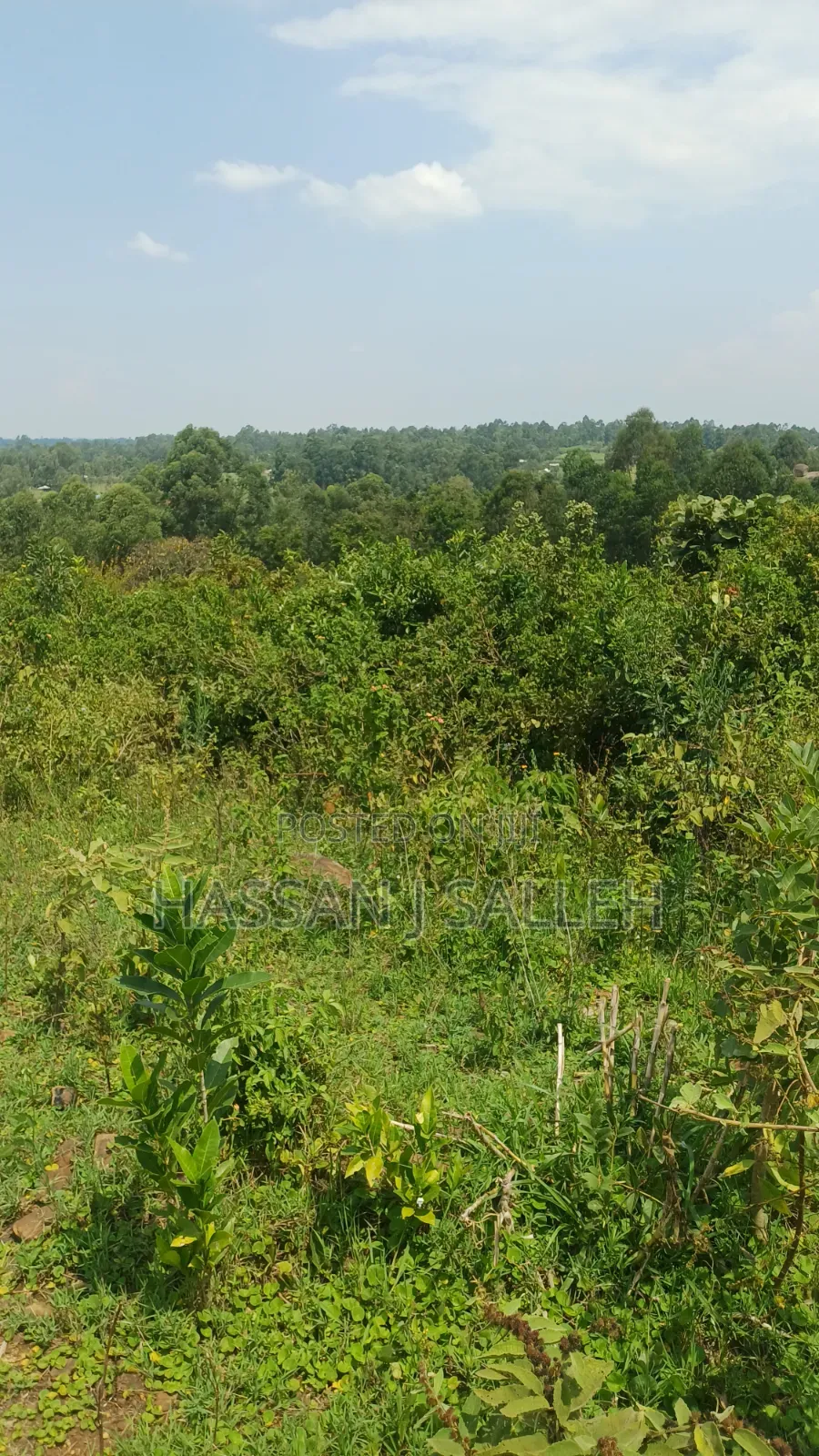 2acres Marama Butere