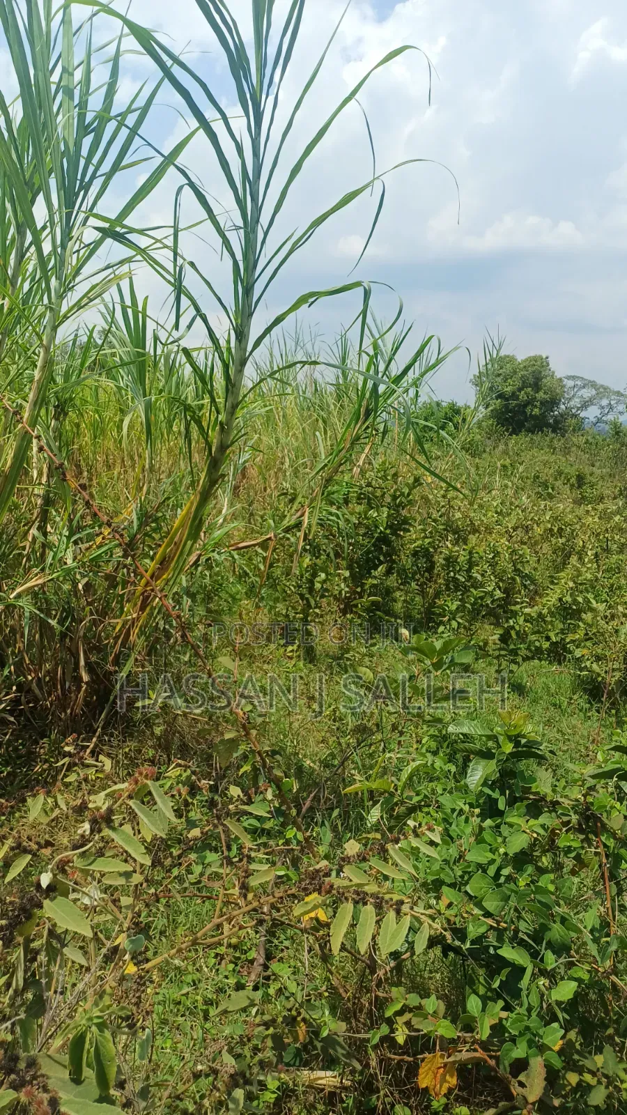 2acres Marama Butere
