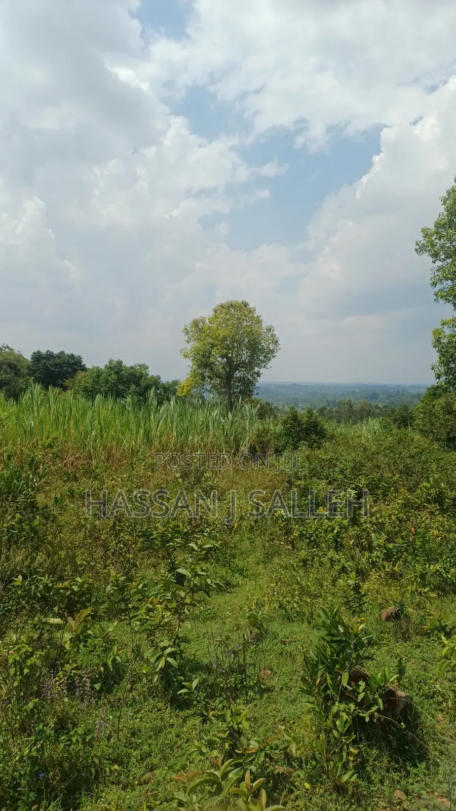 2acres Marama Butere