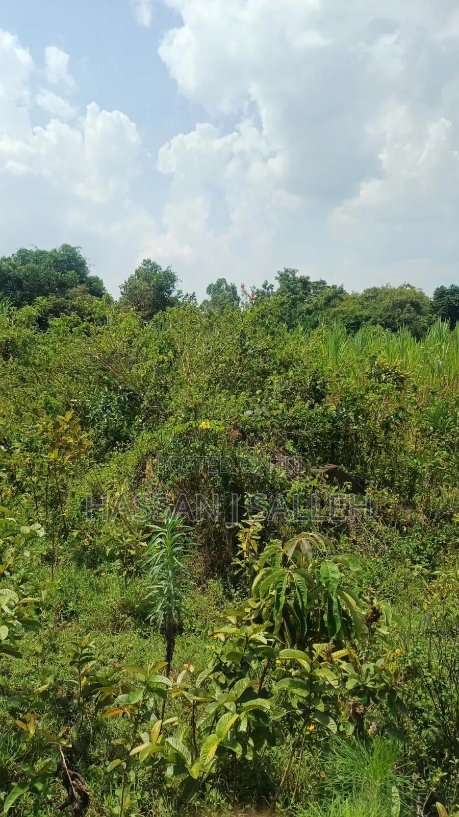2acres Marama Butere