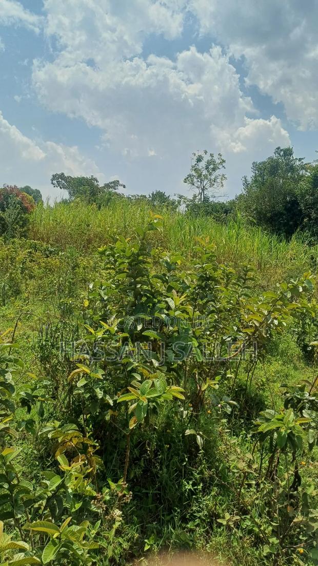 2acres Marama Butere - thumbnail 12