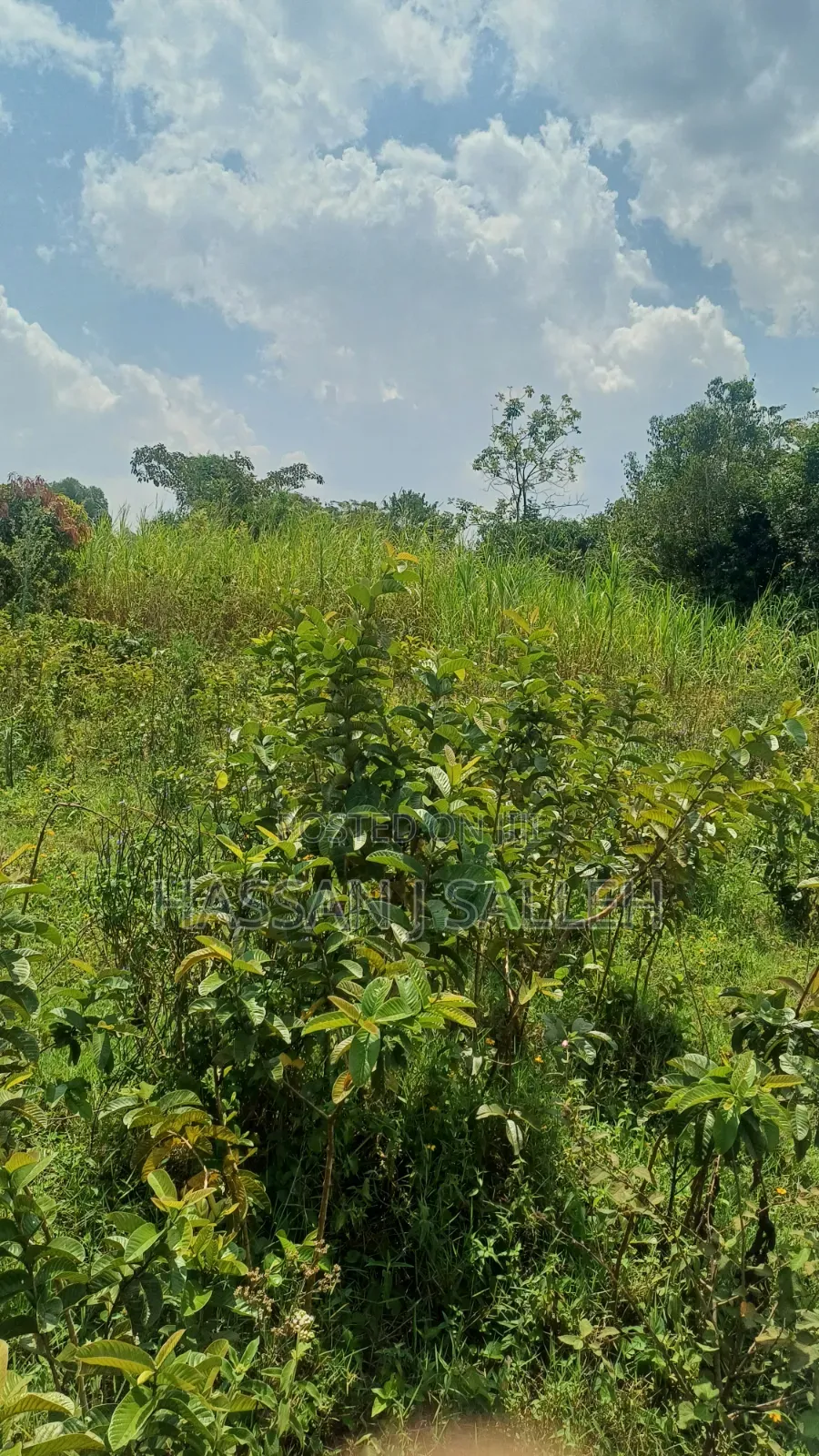 2acres Marama Butere