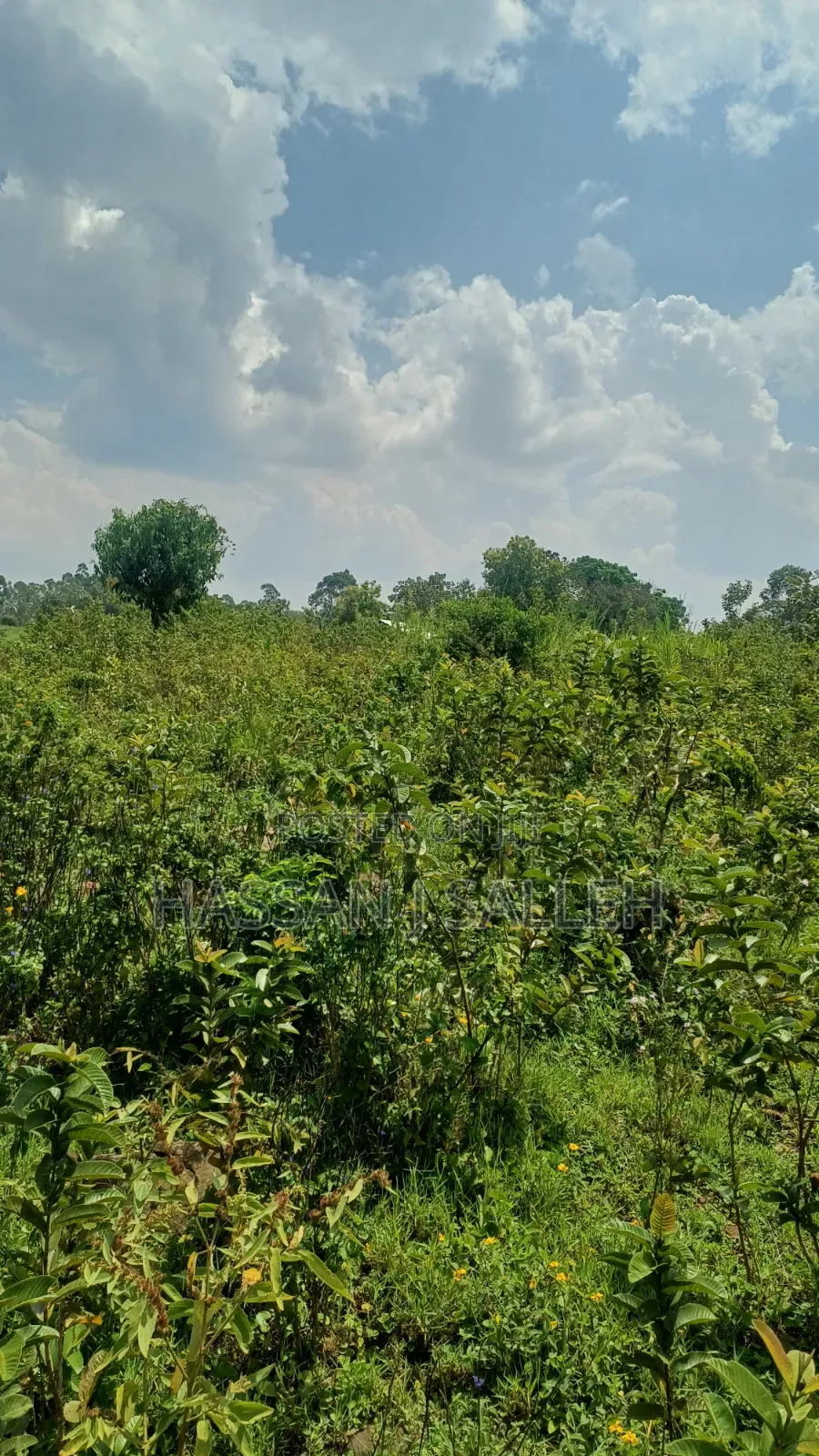 2acres Marama Butere