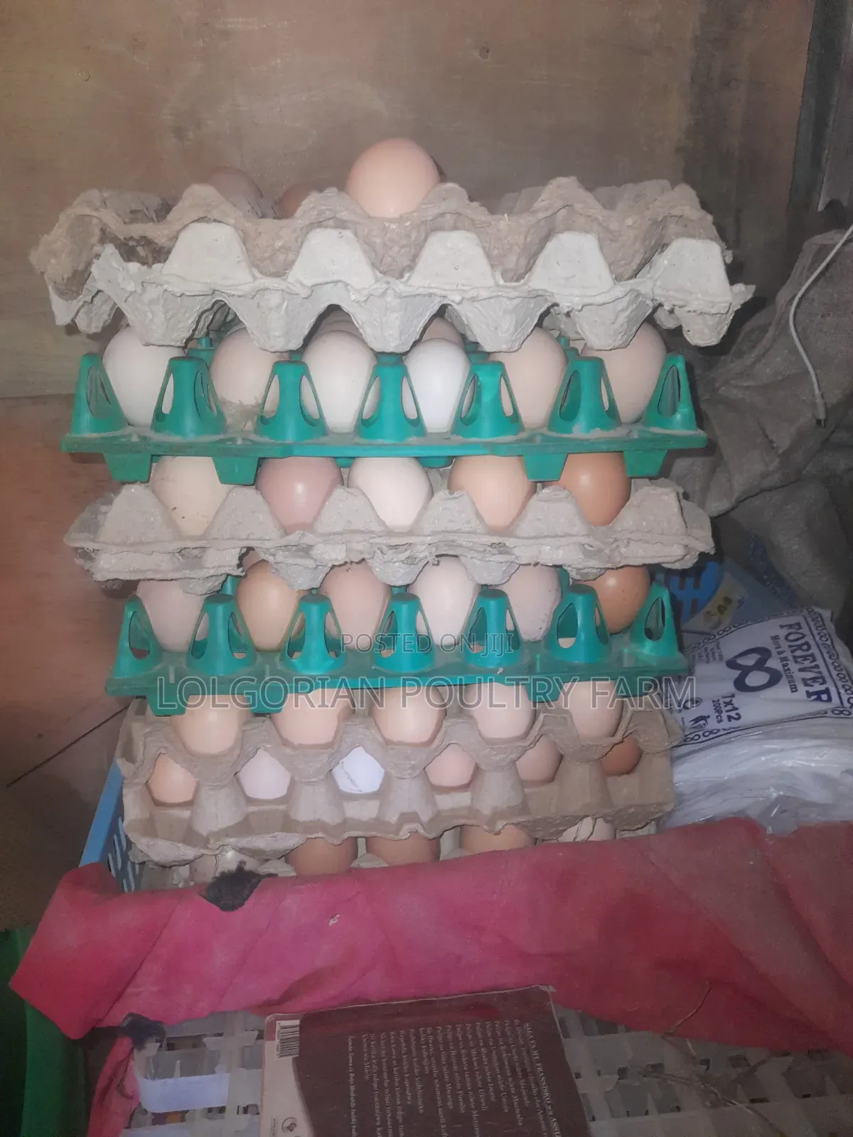 Lolgorian Poultry Farm.