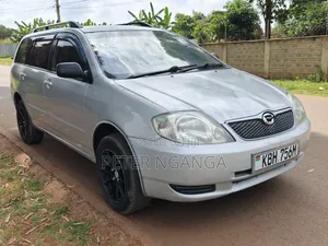 Toyota Corolla Fielder 2003 Silver