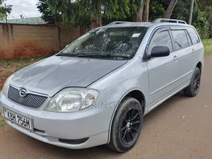 Toyota Corolla Fielder 2003 Silver