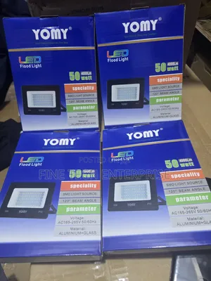 50watts Floodlights