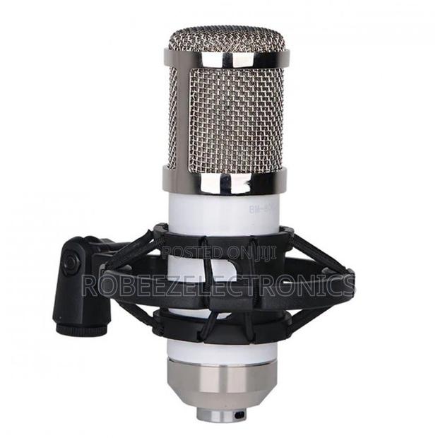 BM-800 Condenser Recording Microphone With Shock Mount - White