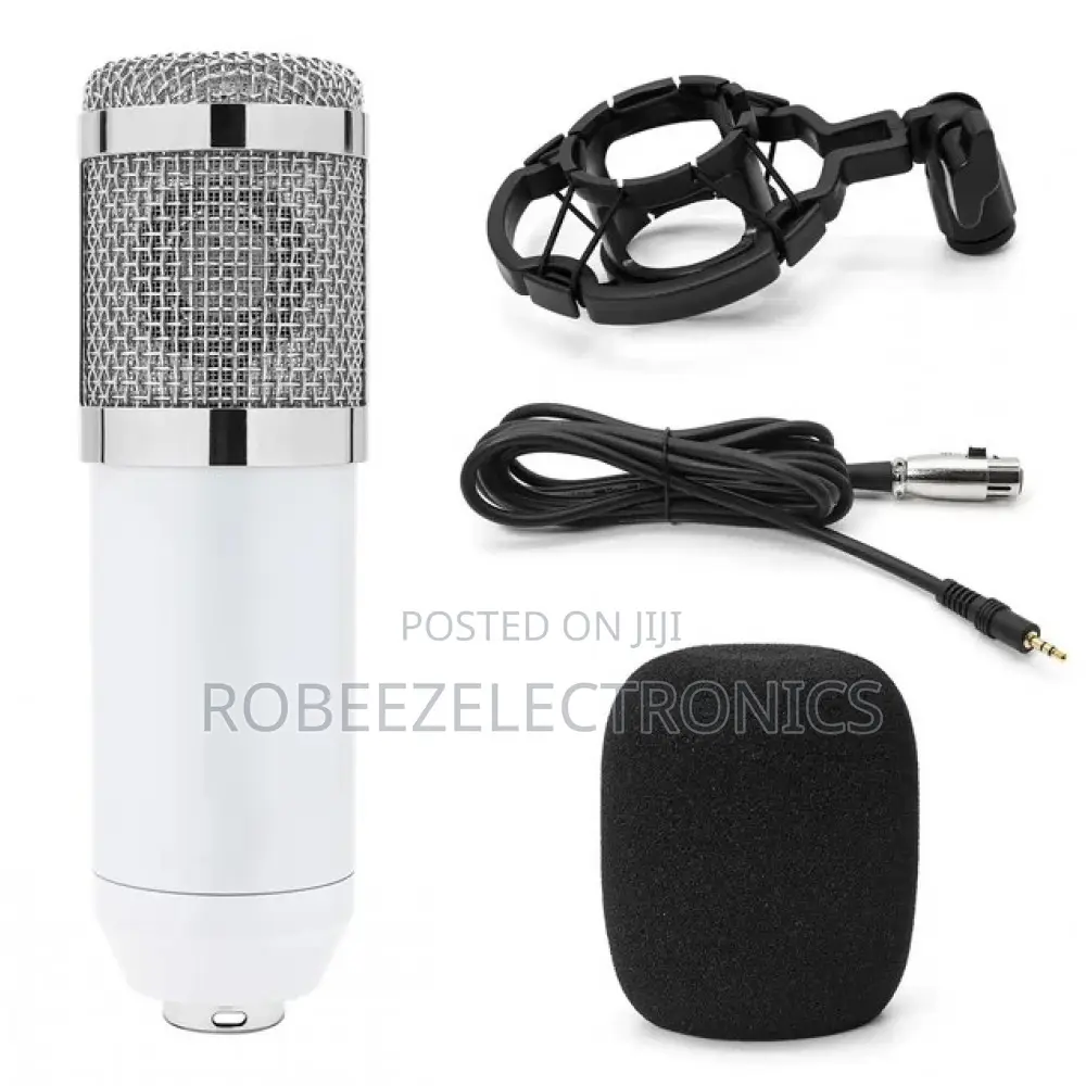 BM-800 Condenser Recording Microphone With Shock Mount - White