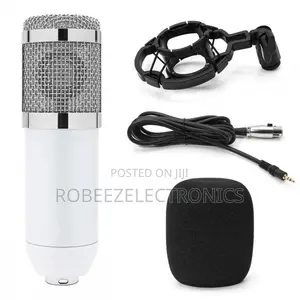 BM-800 Condenser Recording Microphone With Shock Mount - White
