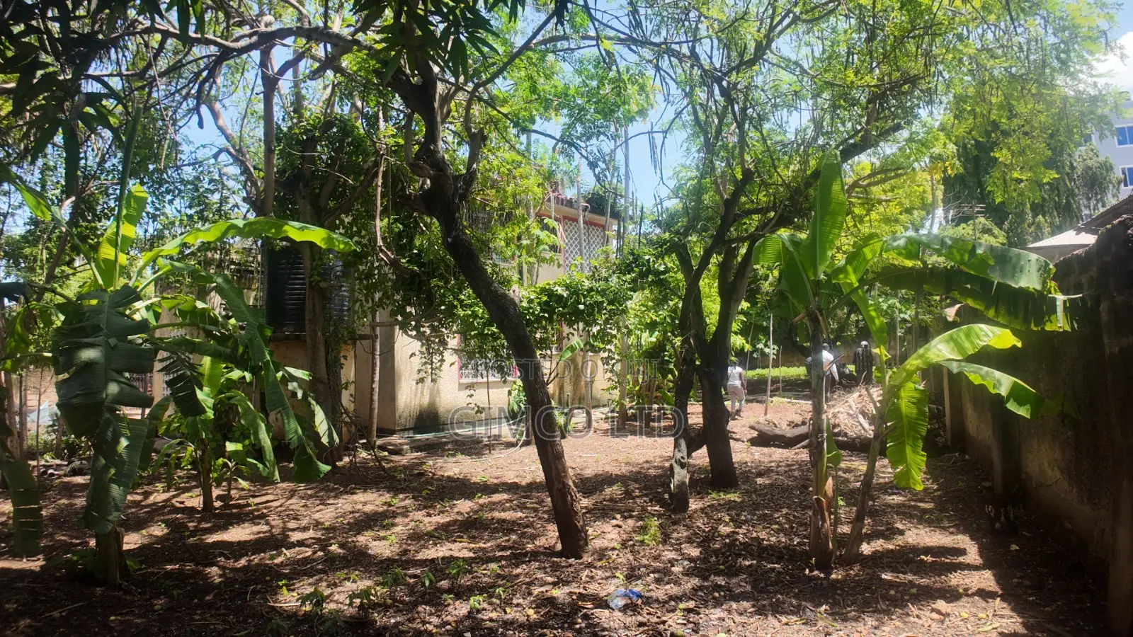 3bdrm Mansion in Harambee Estate, Nyali Mkomani for sale