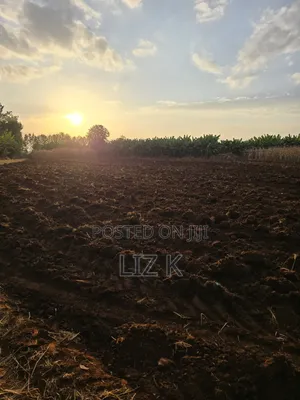 1Acre for Sale in Mugutha