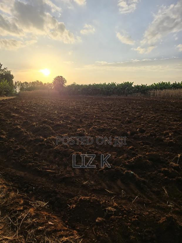 1Acre for Sale in Mugutha